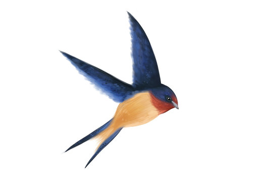 recommend clip art: Martin is currently flying,clip art,painting.
