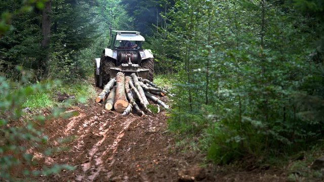 Tractor rides felled tree forest path - (4K)