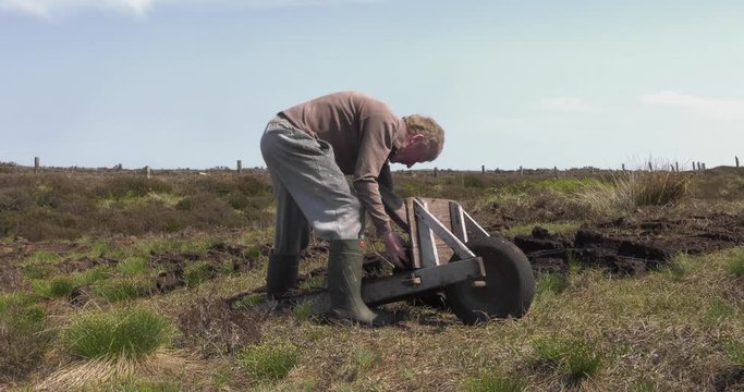 Cutting Turf Peat with a spade in a Moss Bog in Ireland
