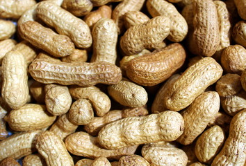 raw peanut nuts in shell for snack