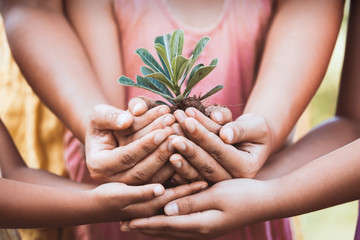 Children and parent holding young tree in hands for planting together with love and unity as save world concept