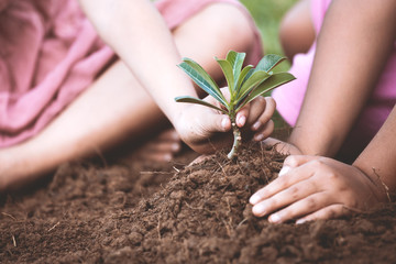 Children hands planting young tree on black soil together as save world concept