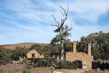 Kanyaka South Australia, arid landscape with abandoned settlement in foreground