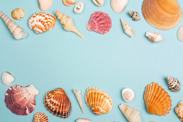 Background with frame of seashells on blue. Place for text.