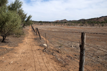 Wilpena South Australia, arid paddock with wire fence and kangaroo path along the fence line