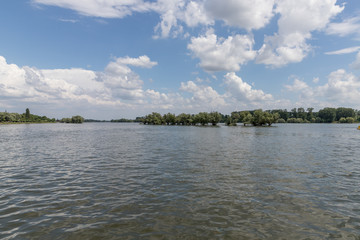 Der Rhein zwischen Ingelheim und Oestrich-Winkel