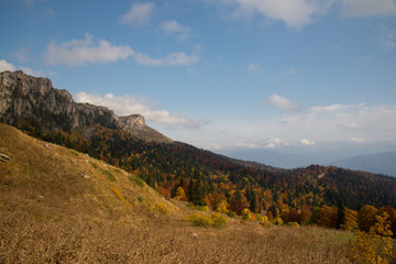 Fototapeta na wymiar Golden autumn in the mountains of Adygea
