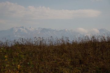 Golden autumn in the mountains of Adygea