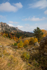Fototapeta na wymiar Golden autumn in the mountains of Adygea