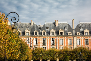 Paris city typical buildings during fall season