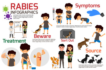 Rabies Infographics. Illustration of rabies describing symptoms and medications or vaccine. vector illustrations.