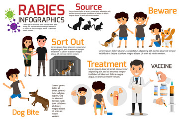 Rabies Infographics. Illustration of rabies describing symptoms and medications or vaccine. vector illustrations.