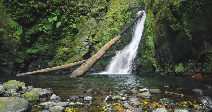 Salto do Cagarrao Waterfall located on Prego river, Sao Miguel Island, Azores, Portugal
