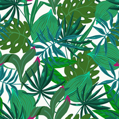 Vector summer natural vintage exotic seamless pattern with tropical leaves, Botanical illustration 