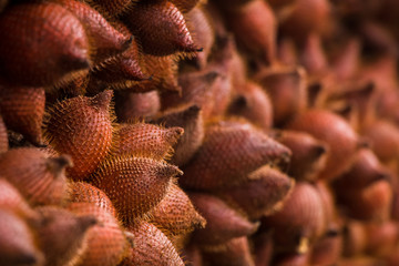 Salacca zalacca fruit red bokeh background