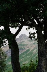 Majestic mountain landscapes of the Caucasian reserve