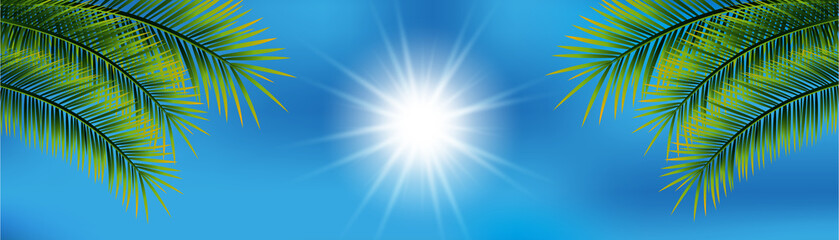 Obraz premium Sommer Hintergrund Banner