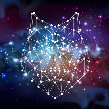 Abstract polygonal tirangle animal wolf on open space background. Hipster animal illustration.