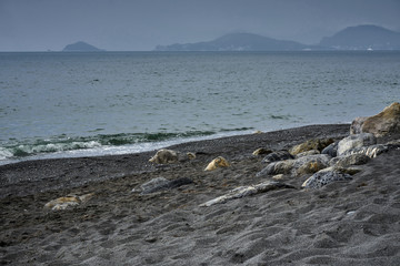 View at Tino and Palmaria Island From Punta Corvo Beach Liguria Stormy Cloudy Weather
