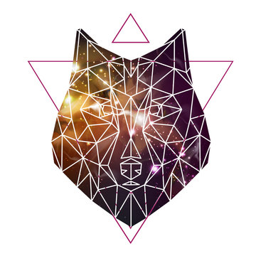 Abstract polygonal tirangle animal wolf on open space background. Hipster animal illustration.