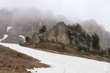 Weekend trip to Mount Fisht. Adygea