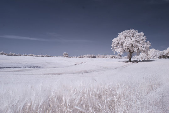 countryside in infrared - Germany