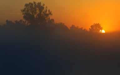 Fototapeta premium Wiosenny Mglisty Wschód Śłońca