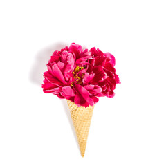 Peony flower on white background