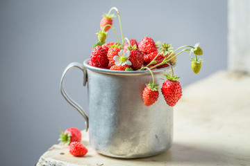 Fresh and sweet wild strawberries in the old metal mug