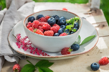 Closeup of tasty and fresh blueberries and raspberries