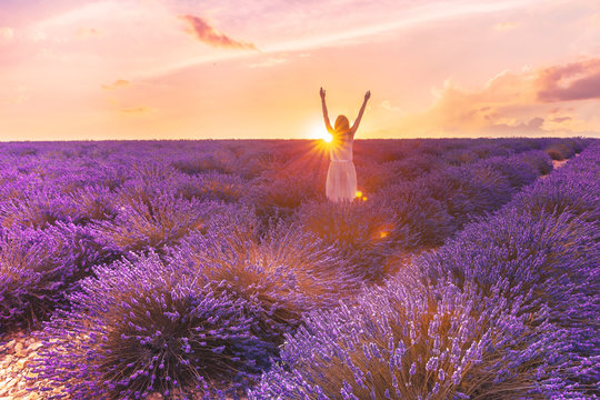 Romantic woman in lavender fields,having vacations in Provence,France. Woman walking in lavender fields at sunset.the girl stands in lavender fields with her hands up, illuminated by sunset sun rays © Natallia