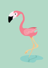 Pink flamingo bird  vector