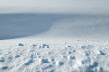 The texture of the snow in the light.