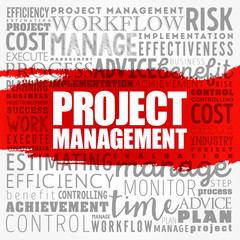 Project Management word cloud collage, business concept background