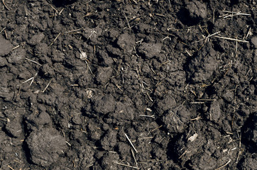 Texture of plowed soil ground of wheat field. Top view and close up photo.