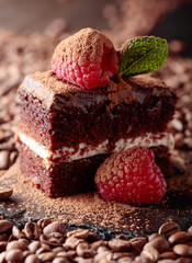 Closeup of chocolate cake with raspberry.