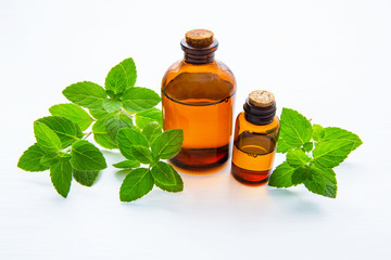 Natural Mint Essential Oil in a Glass Bottle with Fresh Mint Leaves on white wooden background.