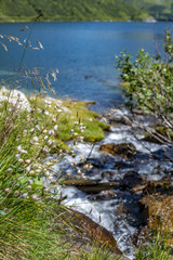 Fototapeta na wymiar Bach fließt in den See
