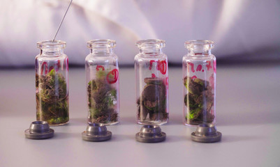 Close up. The scientist's hands pouring solvent into the bottles with samples