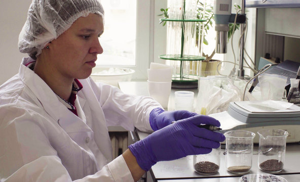 The scientist in laboratory weighing a sample of the soil on the electronic scales