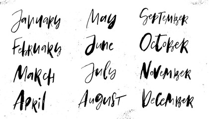 Naklejka premium Hand drawn calendar months lettering