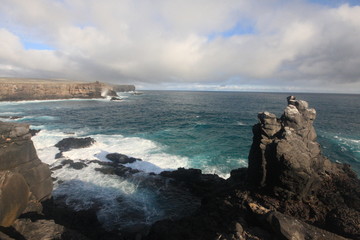Wildlife in Galapagos islands, Ecuador