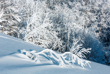 Winter mountain snowy landscape