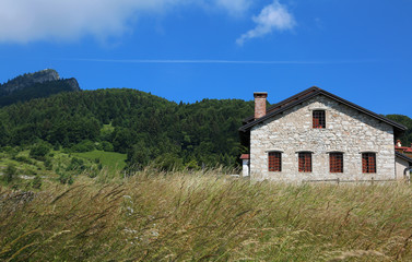 Fototapeta na wymiar chalet with mountains in the background of summer