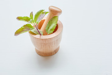 Holy Basil in wooden mortar on white.