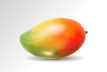 3D realistic orange red green mango on transparent background, mesh vector illustration. - 207387001