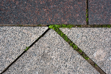 Grass is through paving stones from above