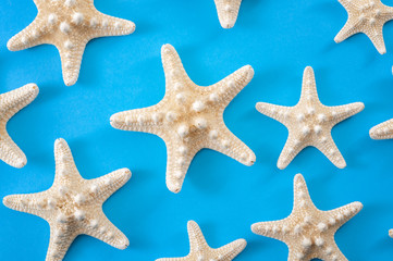 Tropical marine life, minimalism and summer vacation concept with a close up on many scattered starfish isolated on minimalist blue background, top view and flat lay