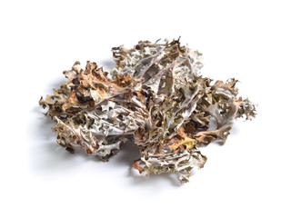 Dried medicinal herbs raw materials isolated on white. Iceland moss