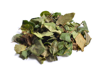 Dried medicinal herbs raw materials isolated on white. Leaves of Orthilia secunda